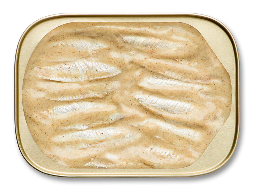 brisling sardines in mustard open can